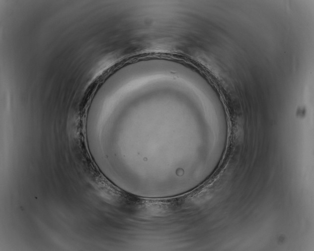 X0000100501258200806201707