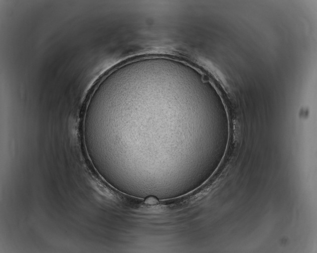 X0000100501260200806201707