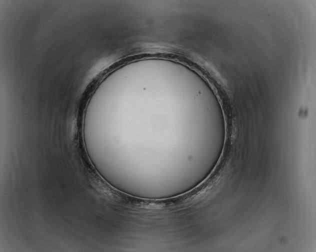 X0000100501261200806201707