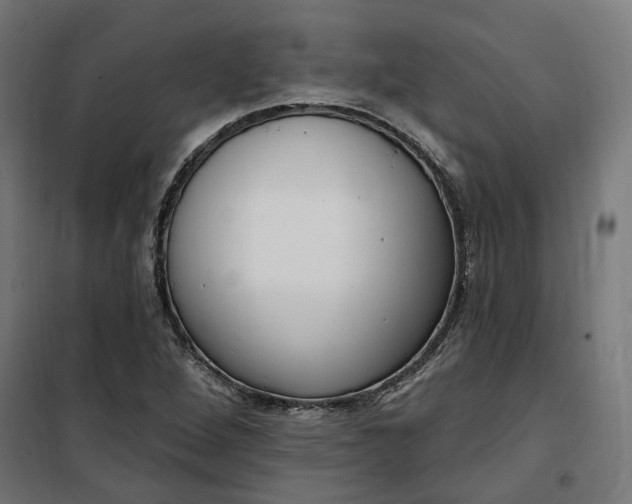 X0000100501264200806201707