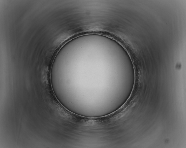 X0000100501265200806201707