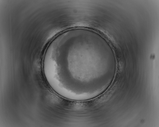 X0000100501266200806201707