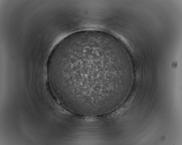 X0000100501267200806201707