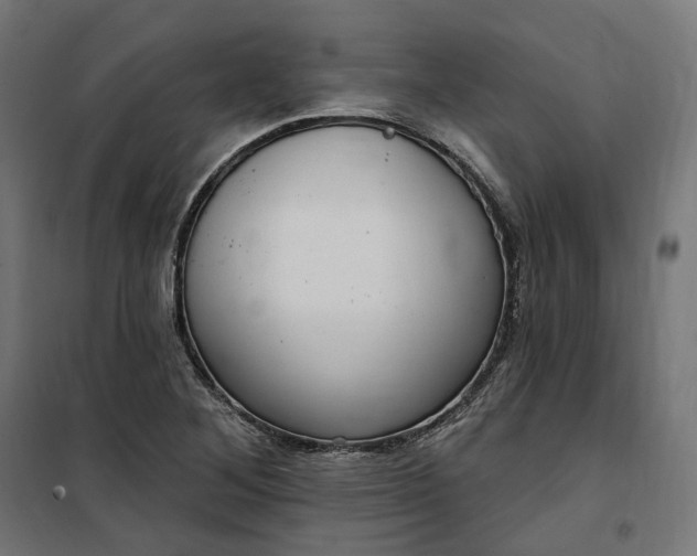 X0000100501268200806201707