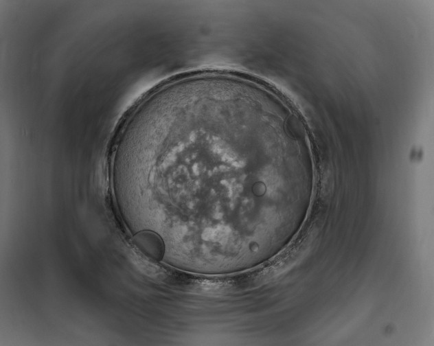 X0000100501271200806201707