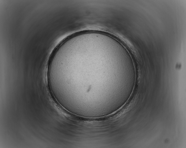 X0000100501272200806201707