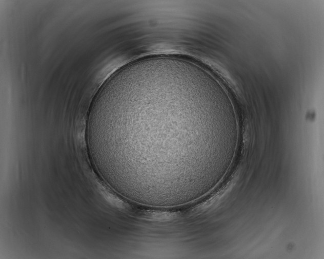 X0000100501273200806201707