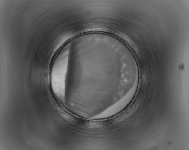 X0000100501274200806201707