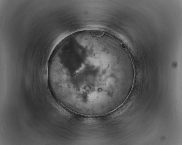 X0000100501275200806201707