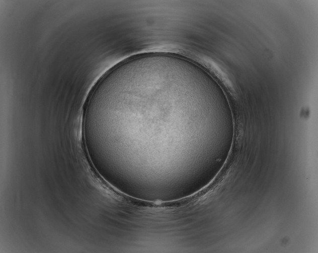 X0000100501276200806201707