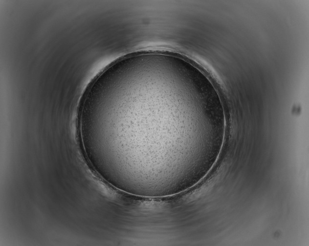 X0000100501277200806201707