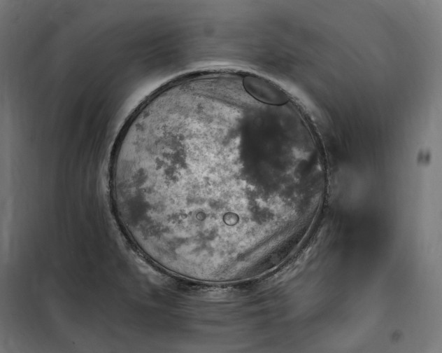 X0000100501279200806201707