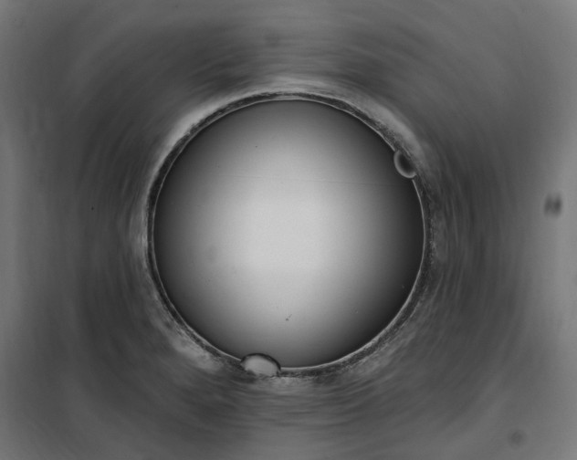 X0000100501280200806201707