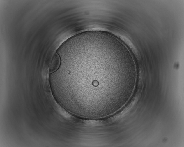 X0000100501281200806201707