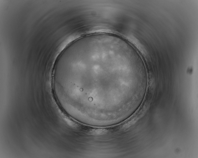 X0000100501282200806201707