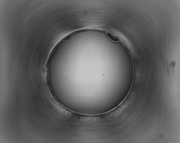 X0000100501284200806201707