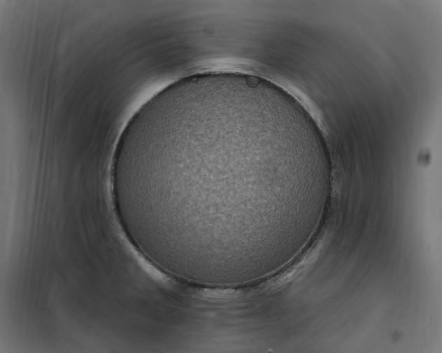 X0000100501285200806201707