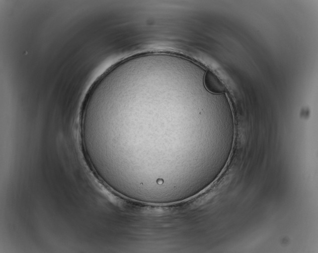 X0000100501286200806201707