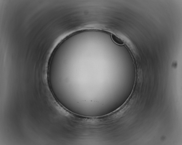 X0000100501288200806201707