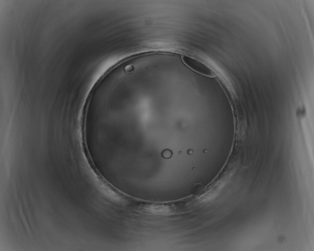 X0000100501291200806201707