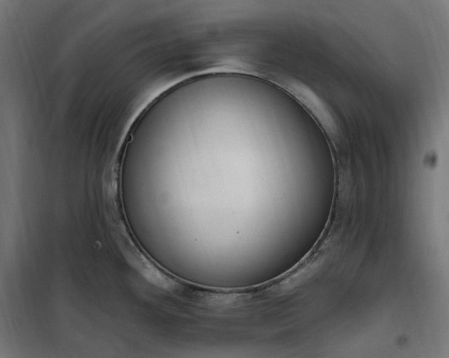 X0000100501292200806201707