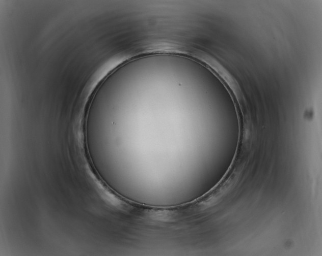 X0000100501293200806201707