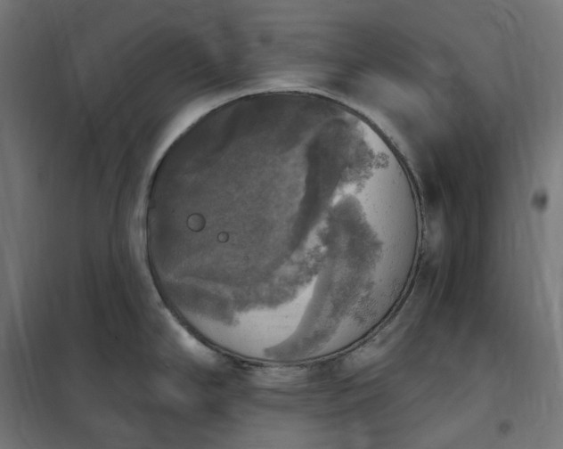 X0000100501294200806201706