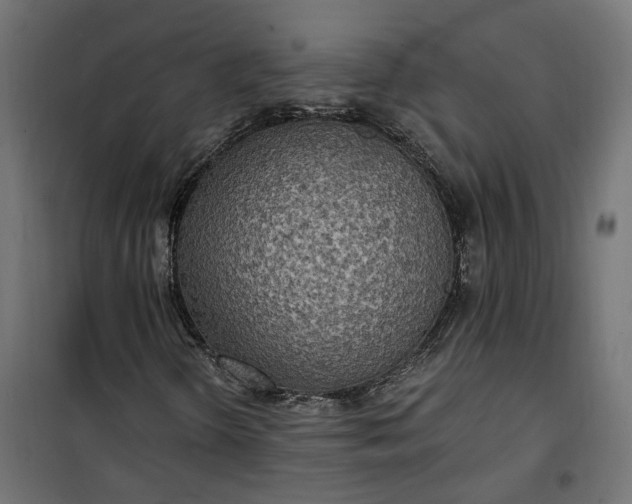 X0000100501298200806201706