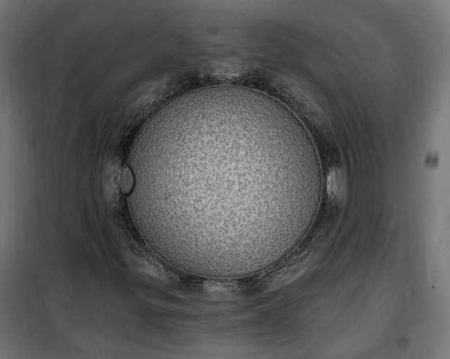 X0000100501299200806201706