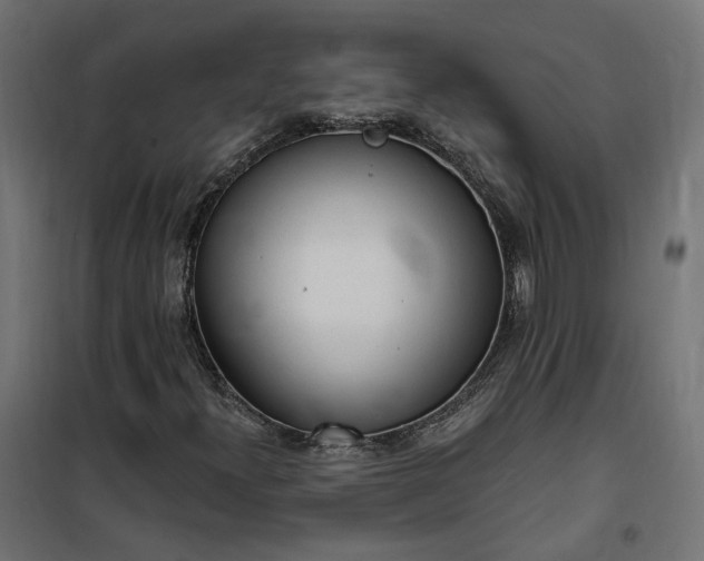 X0000100501300200806201706