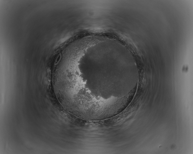 X0000100501301200806201706