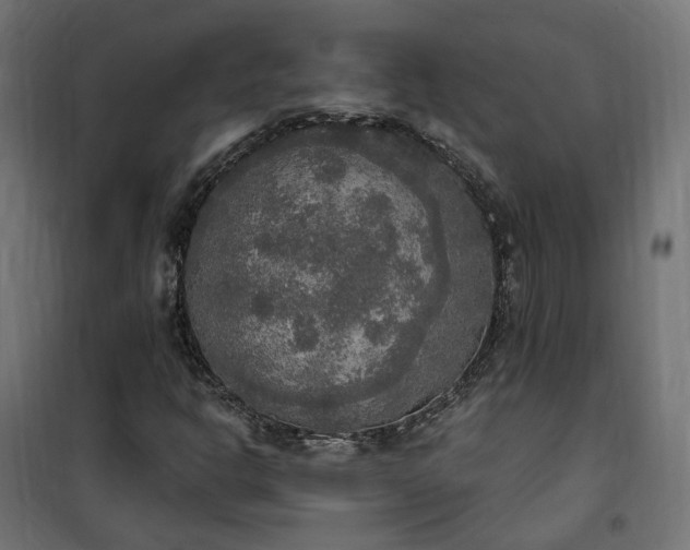 X0000100501302200806201706