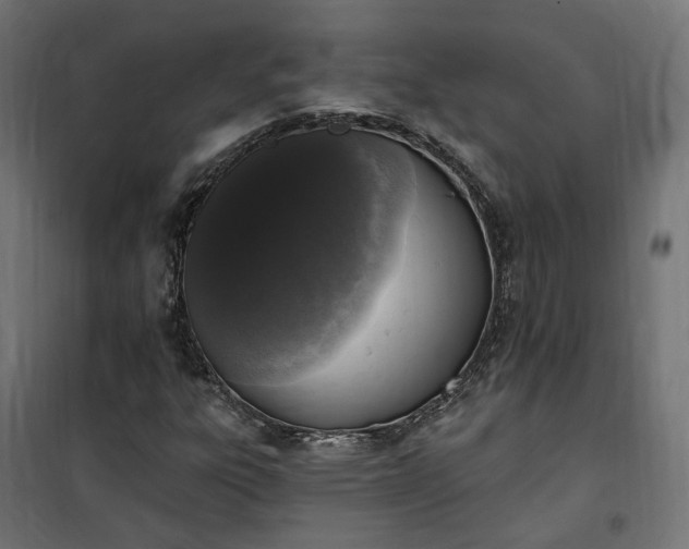 X0000100501303200806201706