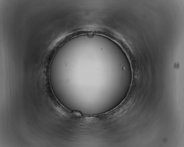 X0000100501304200806201706