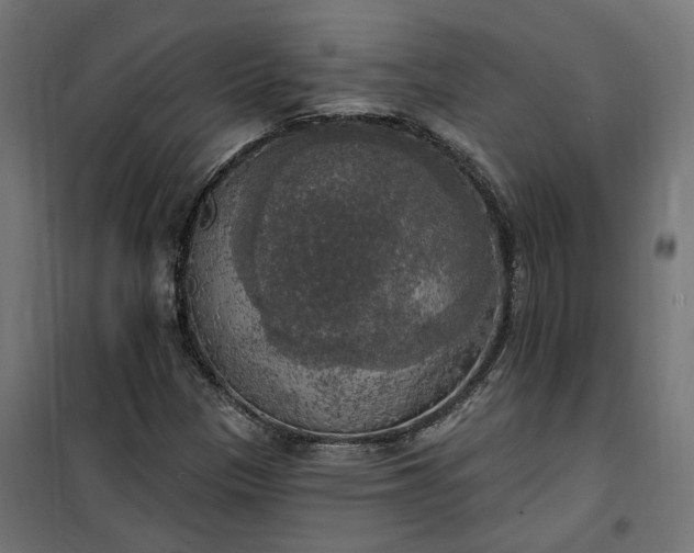 X0000100501305200806201706