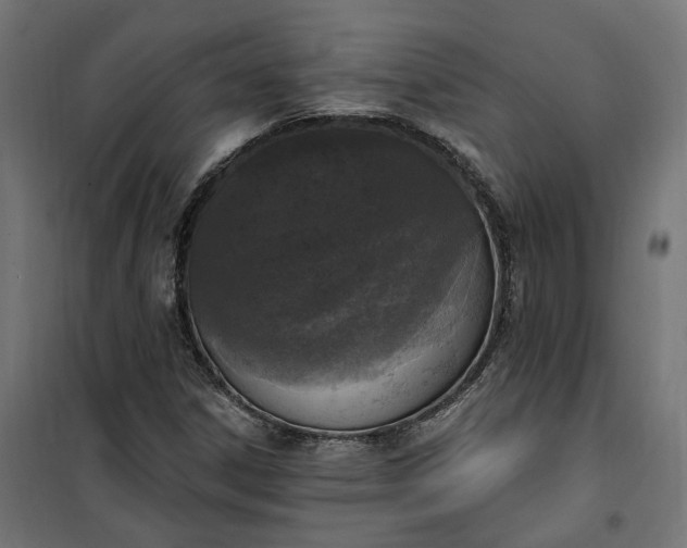 X0000100501306200806201706