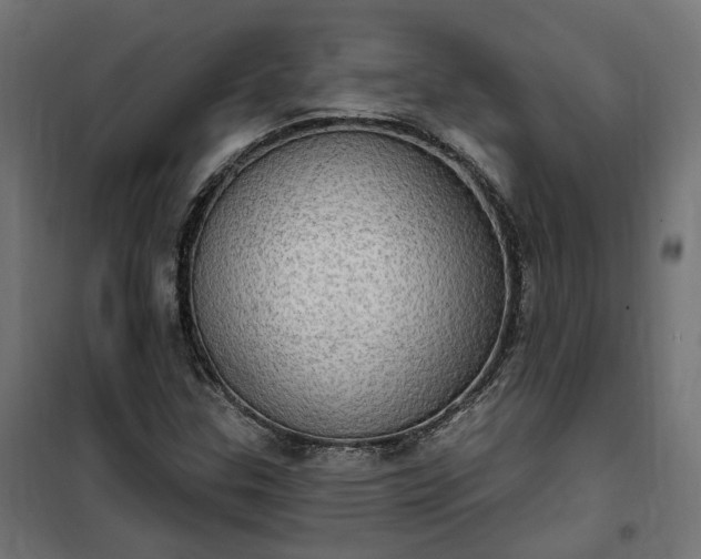 X0000100501307200806201706