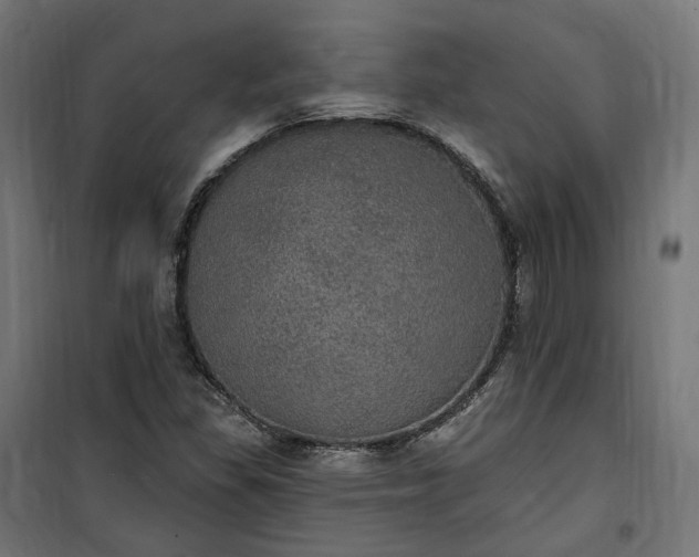 X0000100501309200806201706