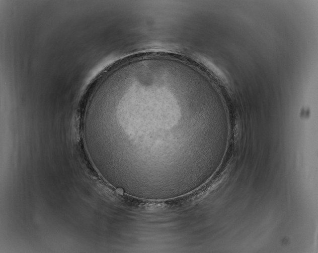 X0000100501310200806201706