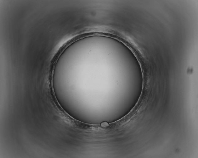 X0000100501312200806201706