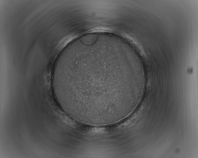 X0000100501313200806201706