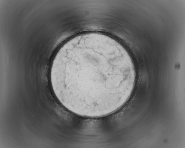 X0000100501314200806201706