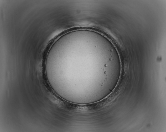 X0000100501315200806201706