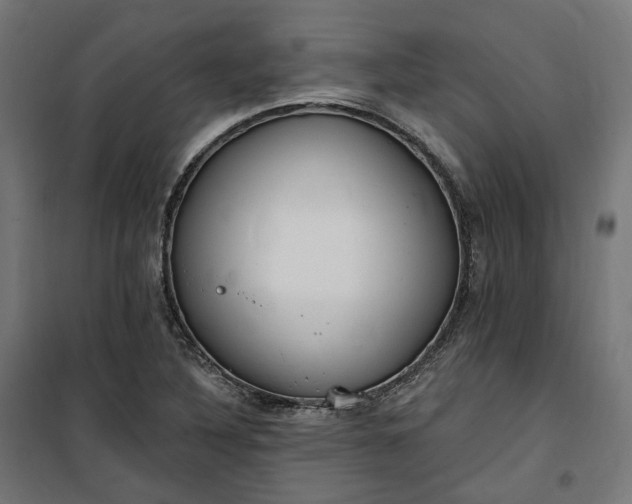 X0000100501316200806201706