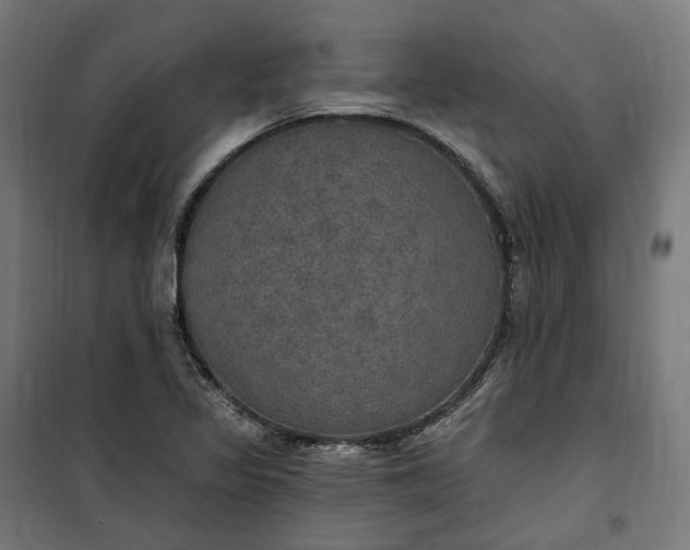 X0000100501317200806201706