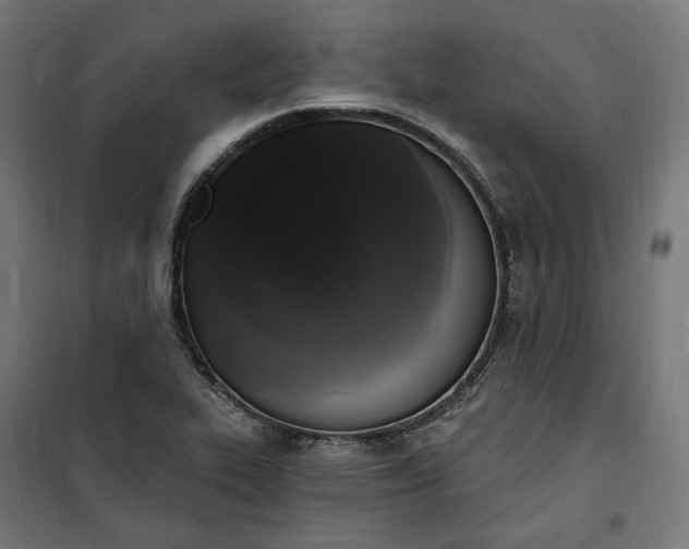 X0000100501319200806201706