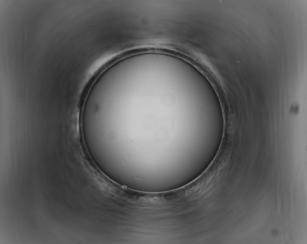 X0000100501320200806201706