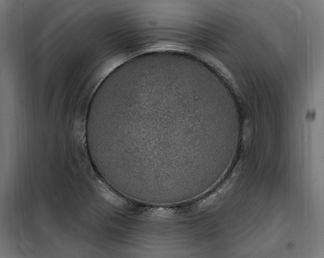 X0000100501321200806201706