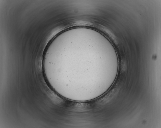 X0000100501322200806201706