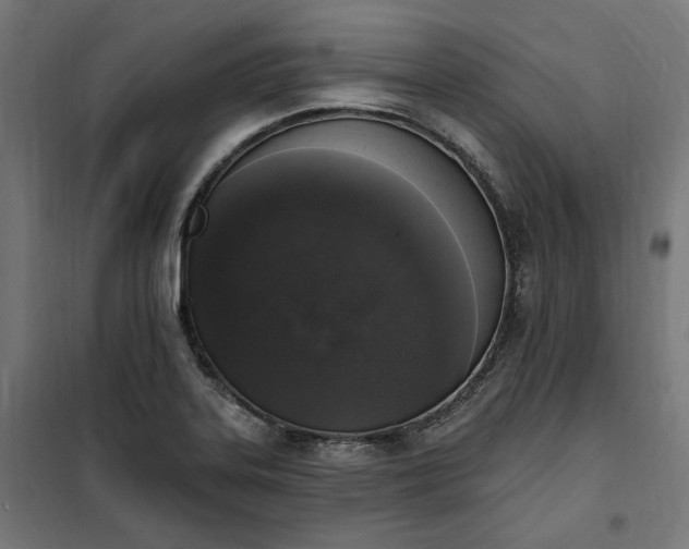 X0000100501323200806201706